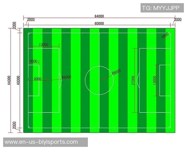 足球场分布图解析与城市体育设施布局的关系探讨